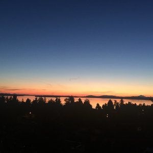 Meet your Posher, Sandy